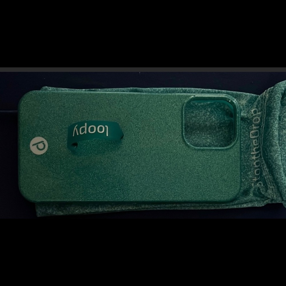iPhone pro 12 max loopy case